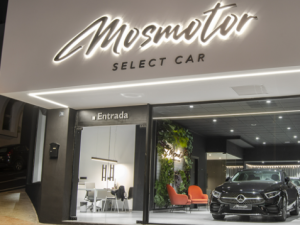 MosMotor4